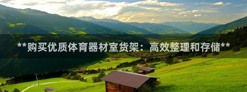 富联丰地产交易平台：**购买优质体育器材室货架：高效