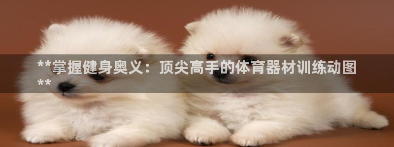 富联平台赢钱不给退怎么办呀：**掌握健身奥义：顶尖高