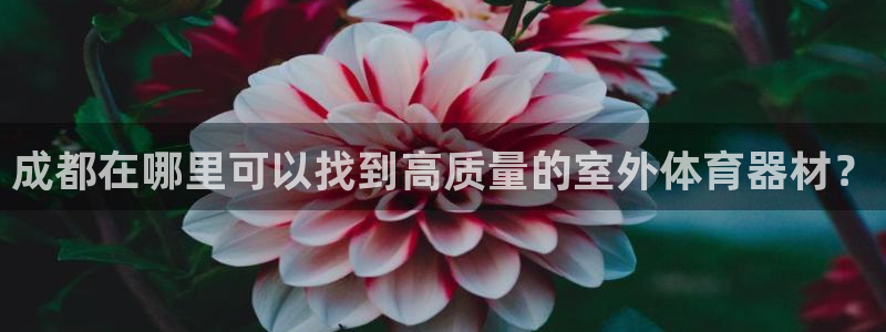 富联平台马 411O31 富联：成都在哪里可以找到高