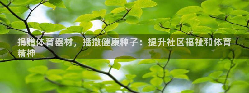 富联娱乐是真的吗：捐赠体育器材，播撒健康种子：提升社