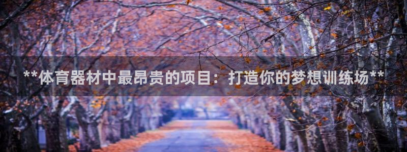 富联娱乐怎么样：**体育器材中最昂贵的项目：打造你的