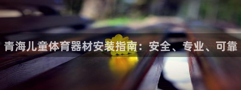 富联平台安装app：青海儿童体育器材安装指南：安全、