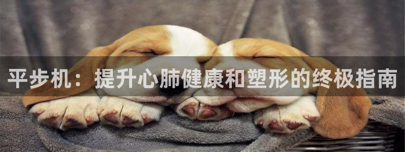 富联平台加认 58.53.4I：平步机：提升心肺健康