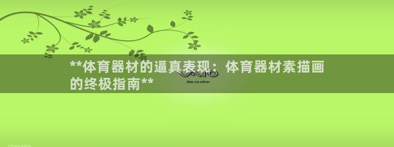 富联官网代理系列产品：**体育器材的逼真表现：体育器