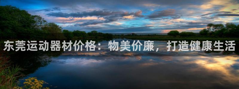 富联娱乐总代：东莞运动器材价格：物美价廉，打造健康生