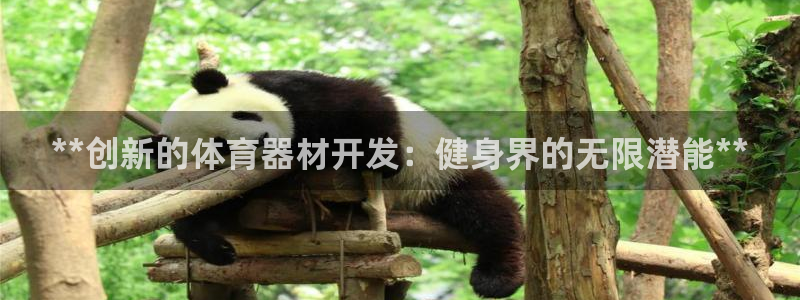 富联娱乐测速登录：**创新的体育器材开发：健身界的无