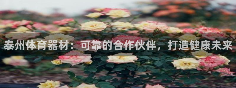 富联官方网站登录：泰州体育器材：可靠的合作伙伴，打造