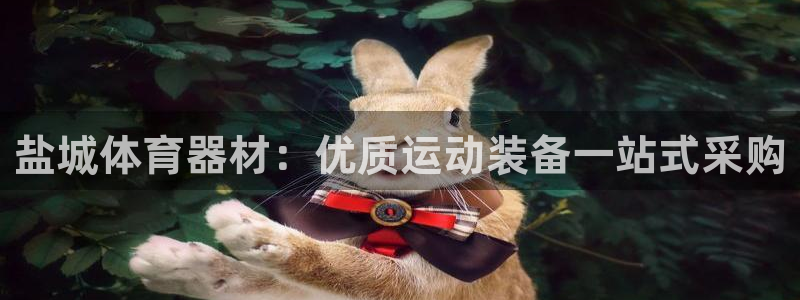 富联平台目 411O31 富联：盐城体育器材：优质运