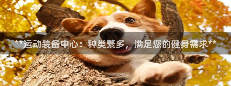 富联平台便7O777：**运动装备中心：种类繁多，满