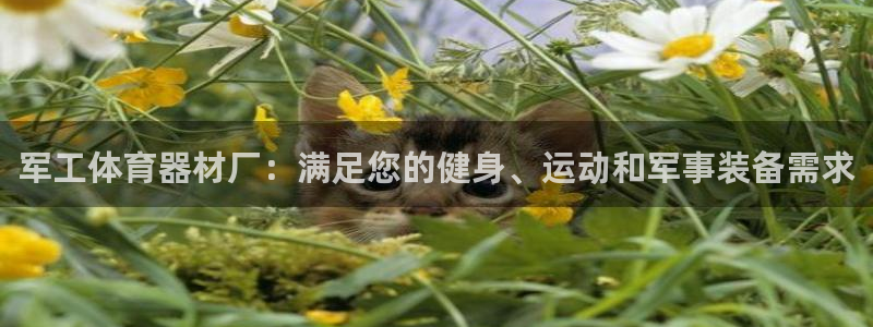 富联娱乐合作 58534I 娱乐：军工体育器材厂：满