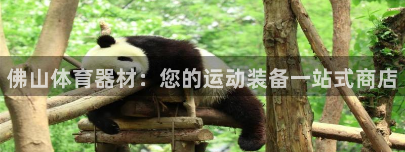 富联平台代理注册：佛山体育器材：您的运动装备一站式商