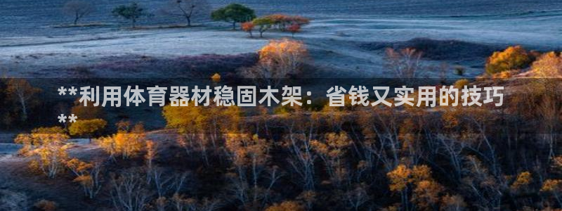 富联平台地址查询：**利用体育器材稳固木架：省钱又实