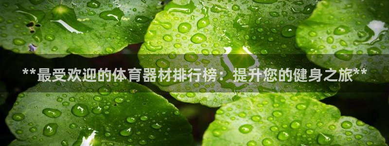 富联官方网站首页：**最受欢迎的体育器材排行榜：提升