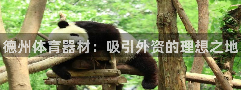 富联一区属于哪个街道：德州体育器材：吸引外资的理想之