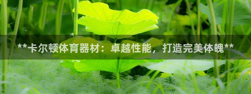 富联文体：**卡尔顿体育器材：卓越性能，打造完美体魄