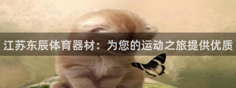 富联通讯简介：江苏东辰体育器材：为您的运动之旅提供优