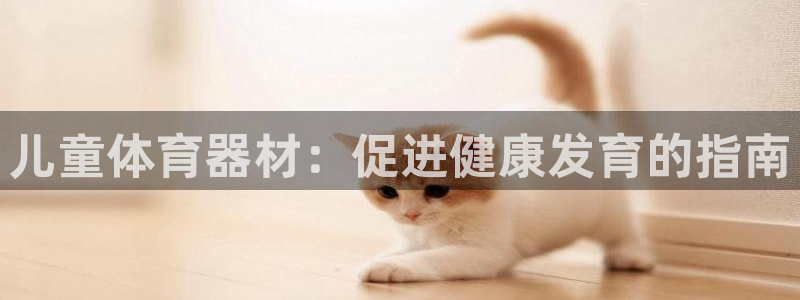 富联展示中心：儿童体育器材：促进健康发育的指南