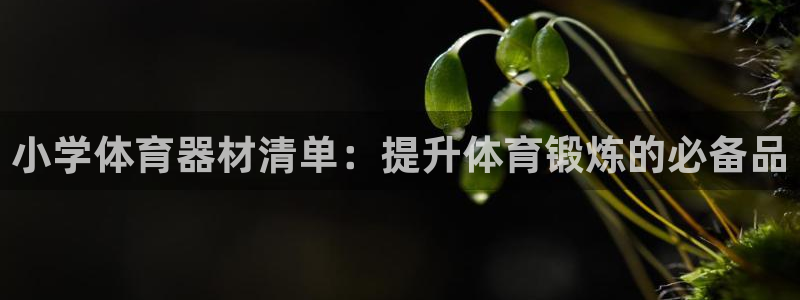 富联娱乐在线注册链接是什么：小学体育器材清单：提升体