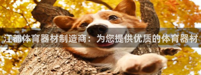 富联官网登录网址：江都体育器材制造商：为您提供优质的
