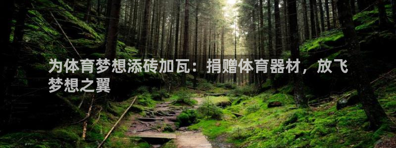 富联官网授权店铺：为体育梦想添砖加瓦：捐赠体育器材，