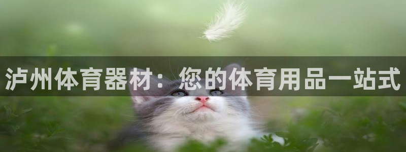 富联娱乐口 411O31 娱乐：泸州体育器材：您的体