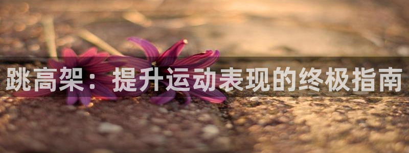 富联平台非7O777：跳高架：提升运动表现的终极指南