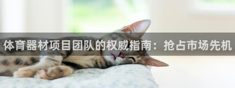 富联娱乐登录地址查询：体育器材项目团队的权威指南：抢