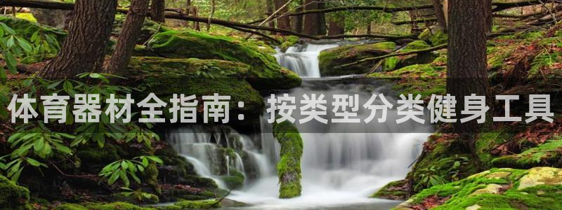 富联娱乐是什么时候开的：体育器材全指南：按类型分类健