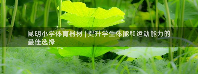富联娱乐在线注册链接怎么弄：昆明小学体育器材 | 提