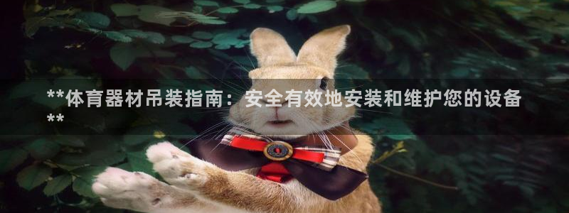 富联官方网站下载安装手机版：**体育器材吊装指南：安