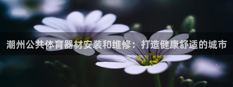 富联申购上市价格预测表：潮州公共体育器材安装和维修：