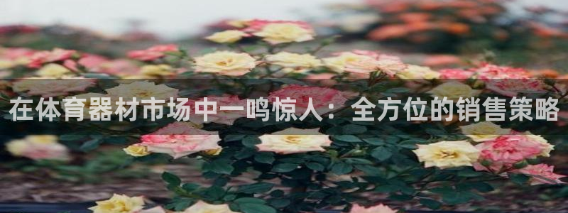 富联文体：在体育器材市场中一鸣惊人：全方位的销售策略