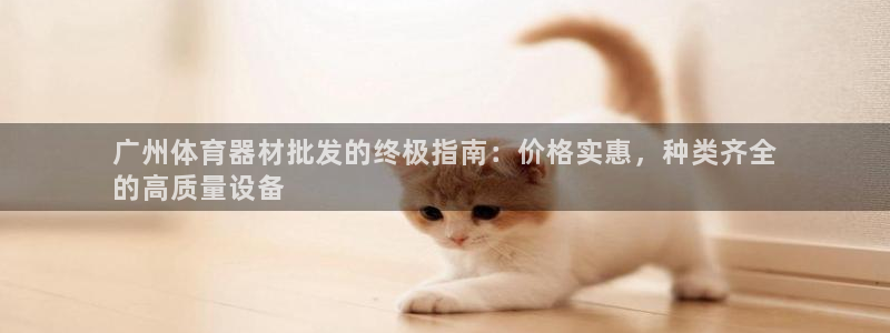 富联股份股票代码：广州体育器材批发的终极指南：价格实