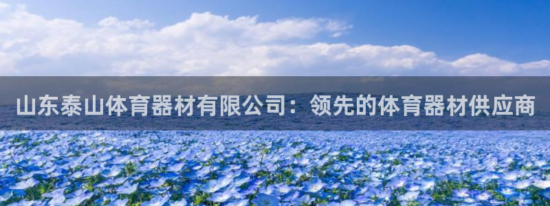 富联官方网站入口网址是什么：山东泰山体育器材有限公司