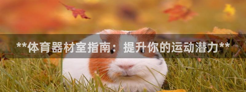 富联娱乐平台开户：**体育器材室指南：提升你的运动潜
