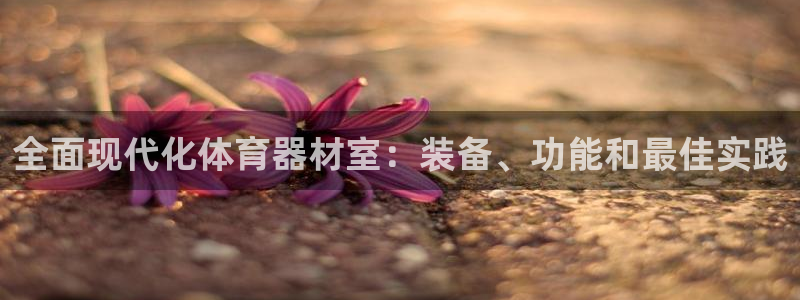 富联娱乐老板：全面现代化体育器材室：装备、功能和最佳