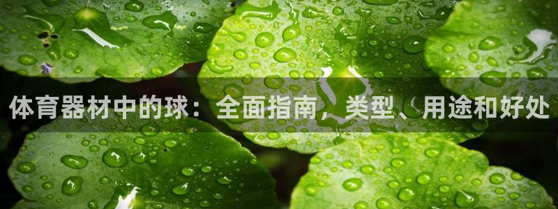 富联娱乐登陆：体育器材中的球：全面指南，类型、用途和