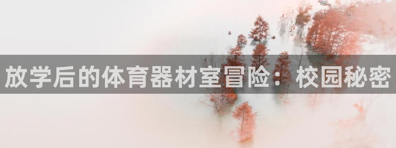 富联是什么软件：放学后的体育器材室冒险：校园秘密