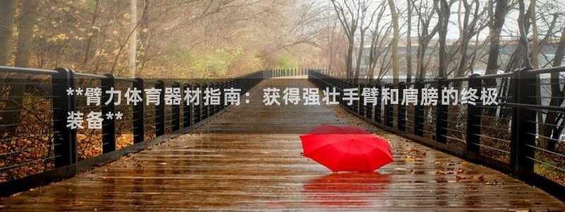 富联平台用户登陆失败：**臂力体育器材指南：获得强壮