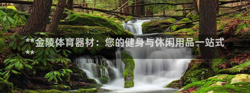 富联平台目 411O31 富联：**金陵体育器材：您