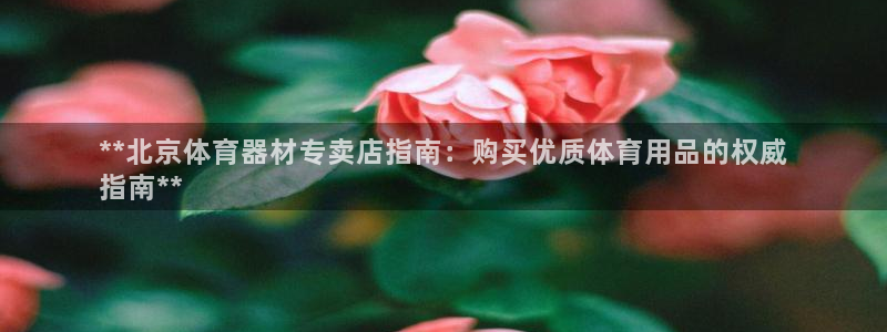 富联芯科技：**北京体育器材专卖店指南：购买优质体育