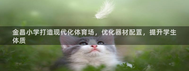 富联官方网站入口查询网址：金昌小学打造现代化体育场，