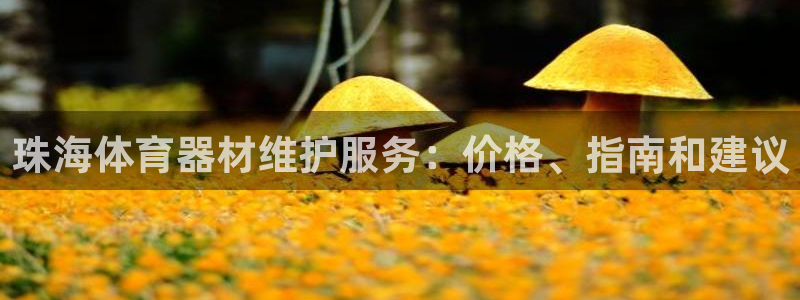 富联娱乐在线注册链接：珠海体育器材维护服务：价格、指