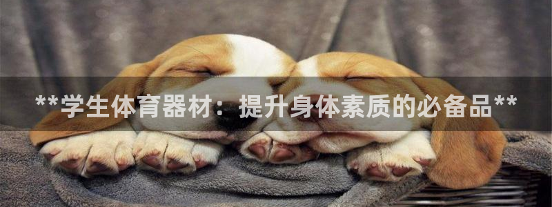 富联娱乐服务站：**学生体育器材：提升身体素质的必备