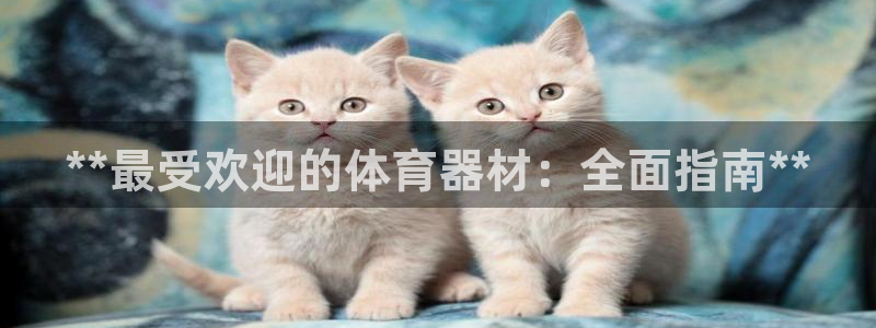 富联娱乐平台开户流程及时间：**最受欢迎的体育器材：