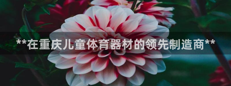 富联娱乐登录注册账号：**在重庆儿童体育器材的领先制