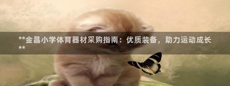 富联娱乐会员：**金昌小学体育器材采购指南：优质装备