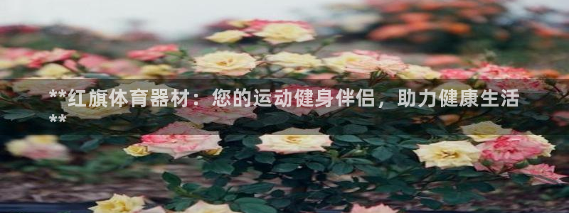 富联娱乐总代理是谁：**红旗体育器材：您的运动健身伴