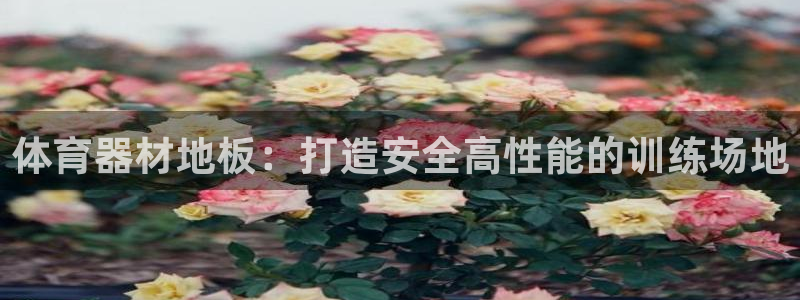 富联娱乐官方网站首页：体育器材地板：打造安全高性能的