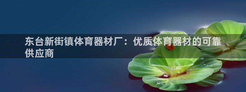 富联官方网站首页登录：东台新街镇体育器材厂：优质体育